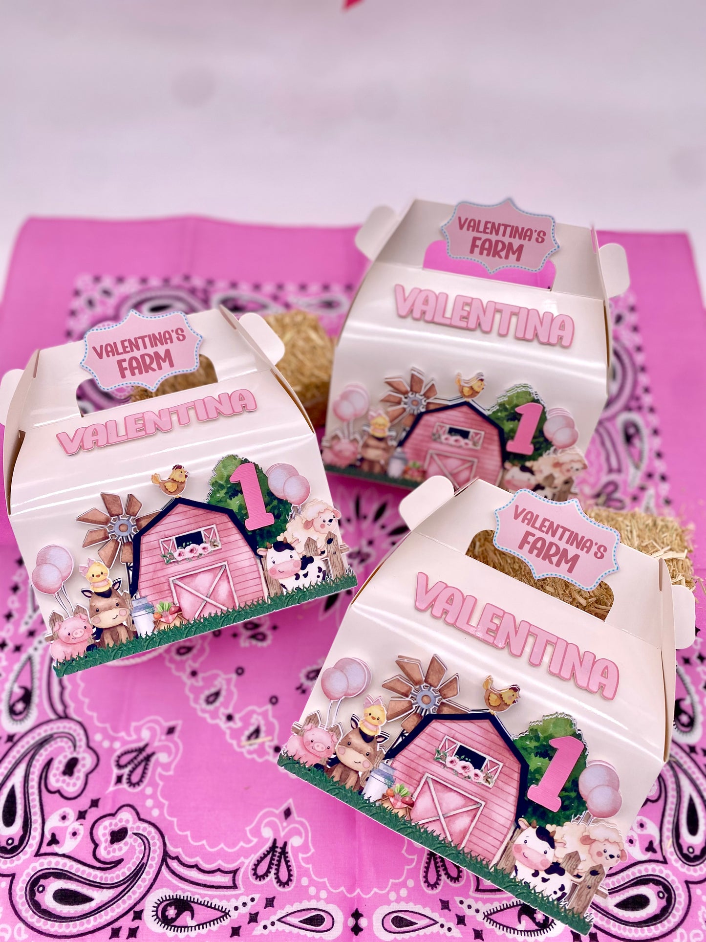 Farm Birthday boxes, baby girl farm, granja rosada