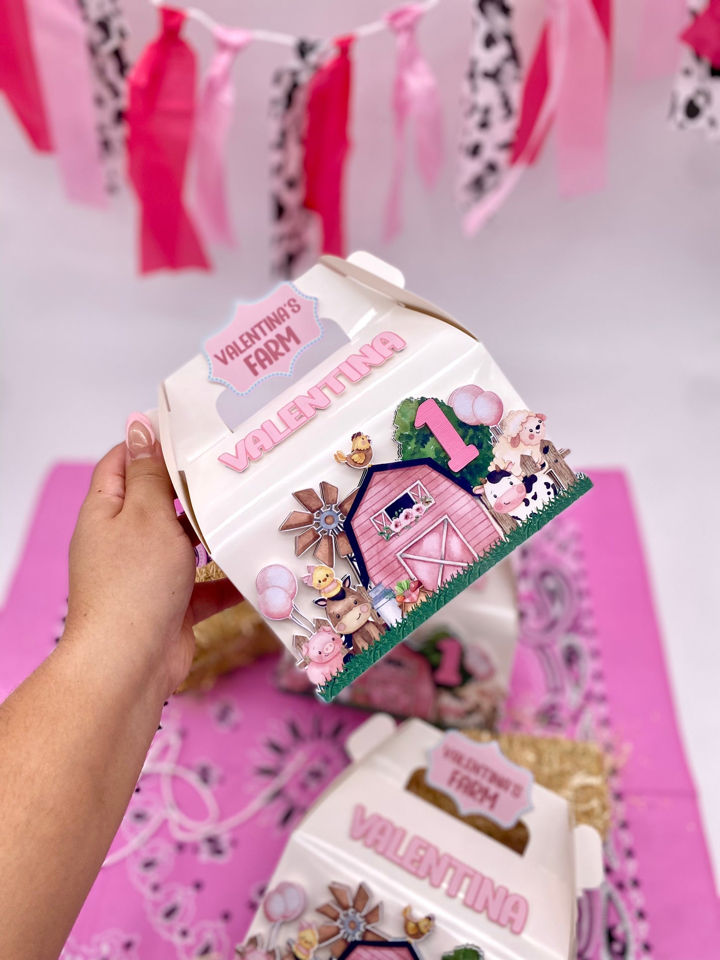 Farm Birthday boxes, baby girl farm, granja rosada